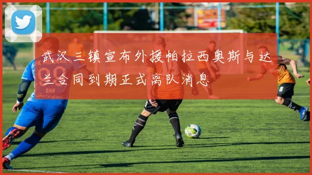 武汉三镇宣布外援帕拉西奥斯与达兰合同到期正式离队消息