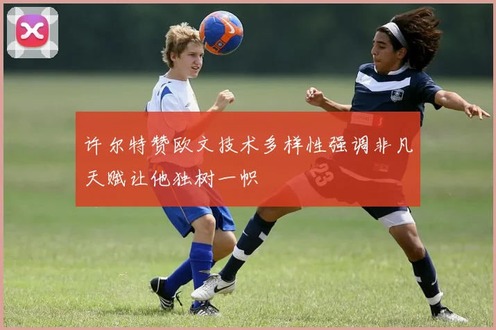 许尔特赞欧文技术多样性强调非凡天赋让他独树一帜