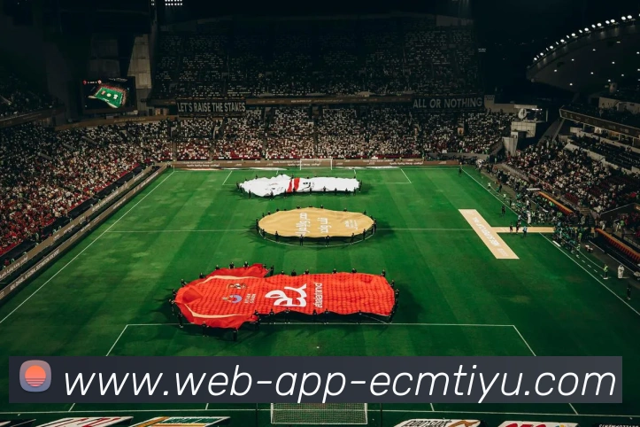 易倍体育APP 封面图